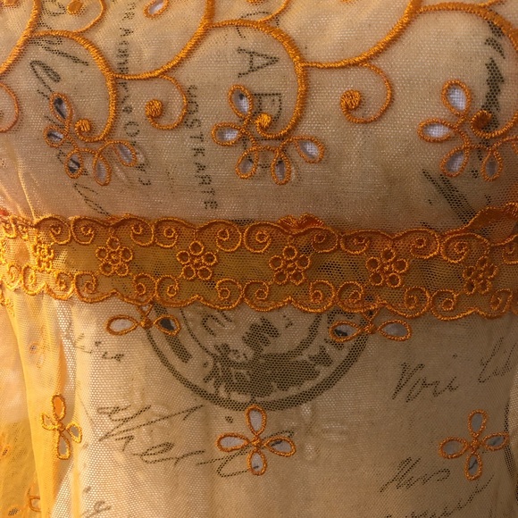 Vintage sheer embroidered dress - Picture 6 of 6